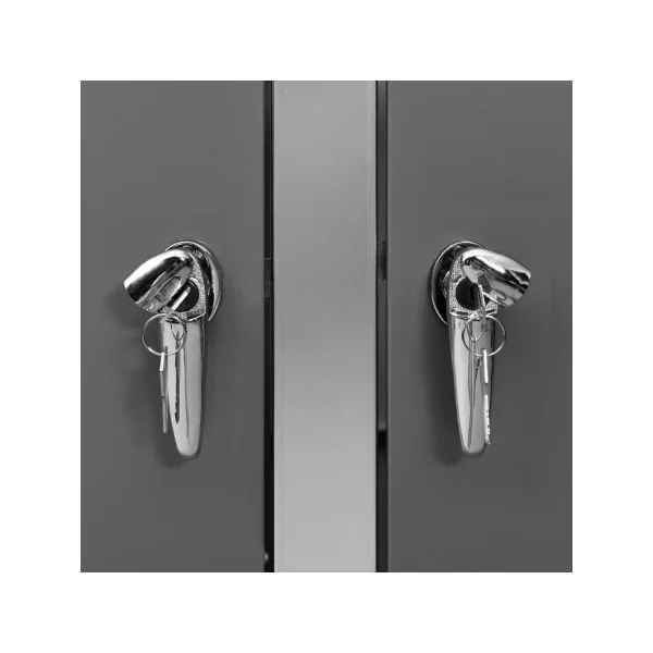 Abri de Jardin 2 Poubelles Cache Poubelle Métal Anthracite et Inox