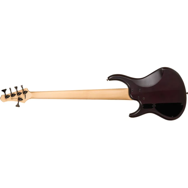 Andrew Gouché Kingston KAG5PH 5-String - ag burst