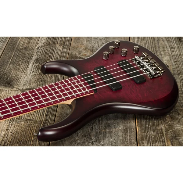 Andrew Gouché Kingston KAG5PH 5-String - ag burst
