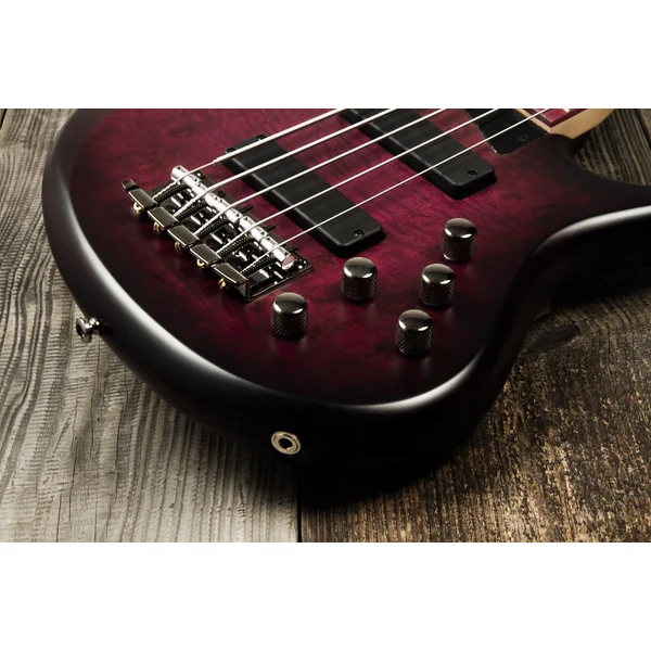 Andrew Gouché Kingston KAG5PH 5-String - ag burst