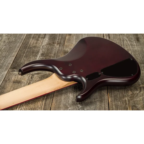 Andrew Gouché Kingston KAG5PH 5-String - ag burst