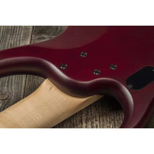 Andrew Gouché Kingston KAG5PH 5-String - ag burst