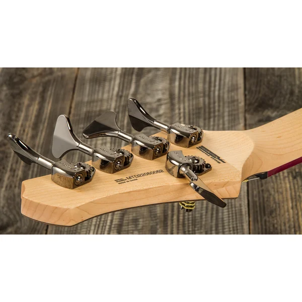 Andrew Gouché Kingston KAG5PH 5-String - ag burst