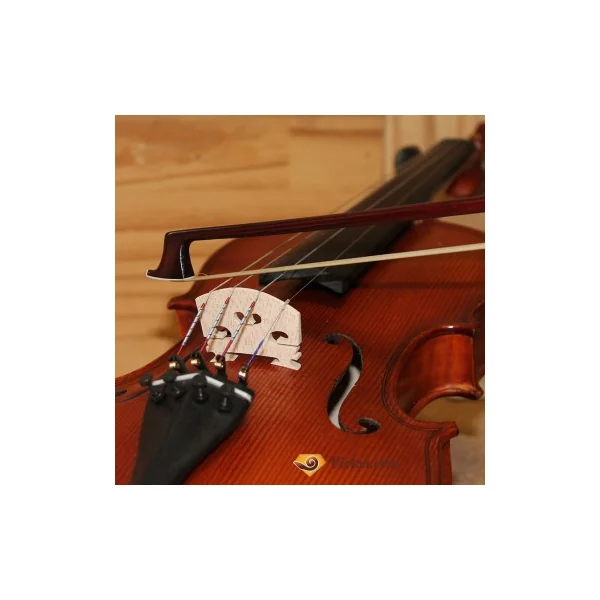 Archet violon Ary France Initiation pernambouc 3/4