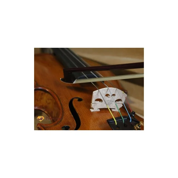 Archet violon Ary France Initiation pernambouc 3/4