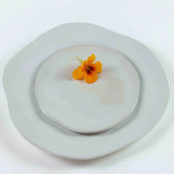 Assiettes-fleurs blanches – Emmanuelle Musset pour Galerie Marguerite