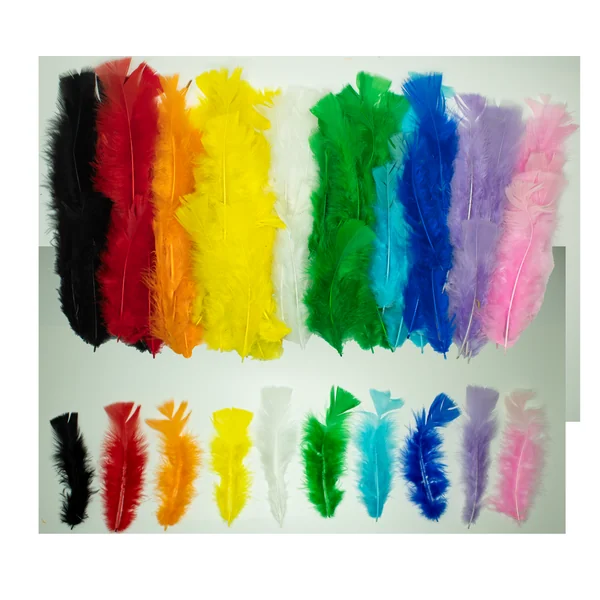 Assortiment plumes de dinde multicolore (x300)