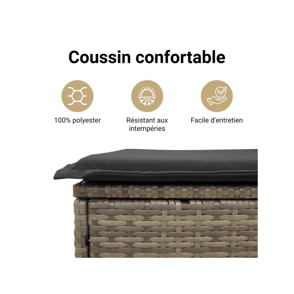 Banc de Jardin avec Coffre Rangement en Résine Tressée Gris 80 cm