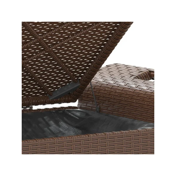 Banc de Jardin avec Coffre Rangement en Résine Tressée Marron 116 cm
