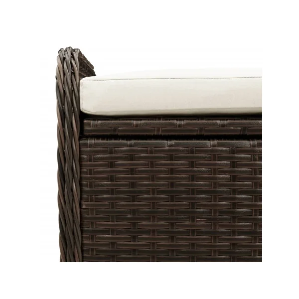 Banc de Jardin avec Coffre Rangement en Résine Tressée Marron 80 cm