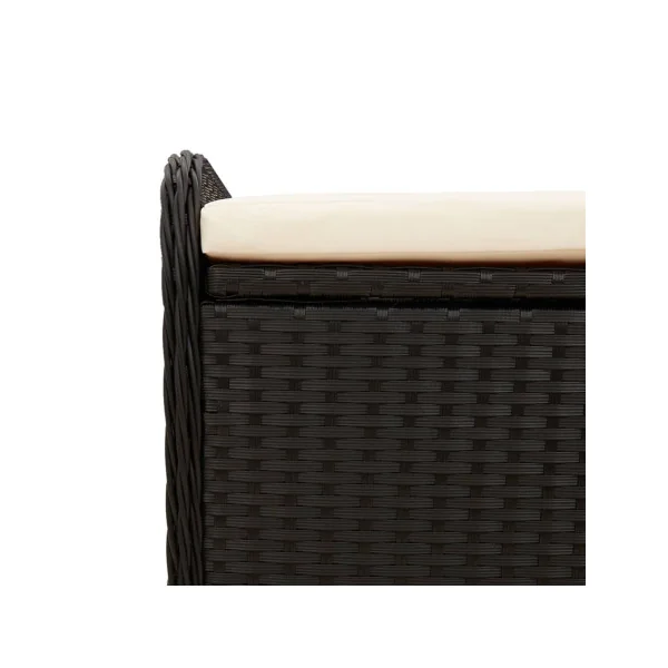 Banc de Jardin avec Coffre Rangement en Résine Tressée Noir 80 cm