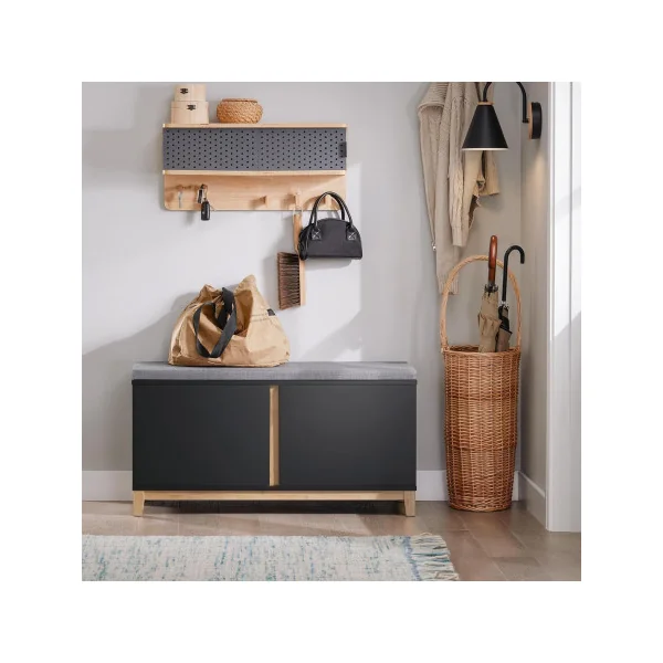 Banc à Chaussures Tendance Noir Meuble Chaussures avec 2 Placards