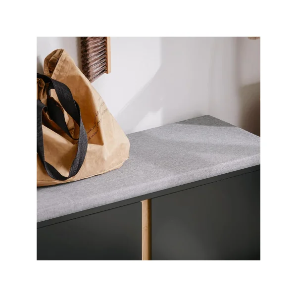 Banc à Chaussures Tendance Noir Meuble Chaussures avec 2 Placards
