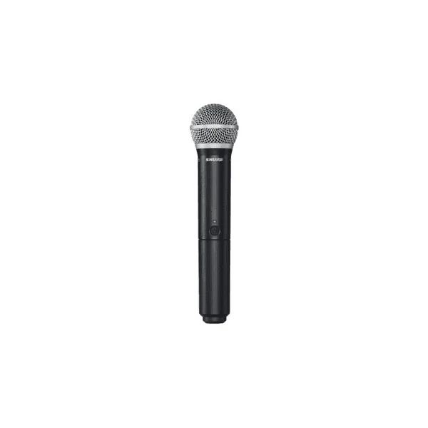 BLX288E-PG58-M17 Système complet double Microphone HF