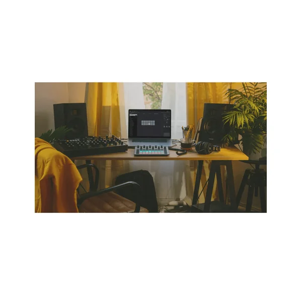 BUNDLE 2 T5V + 2 câbles Jack - XLR + Supports