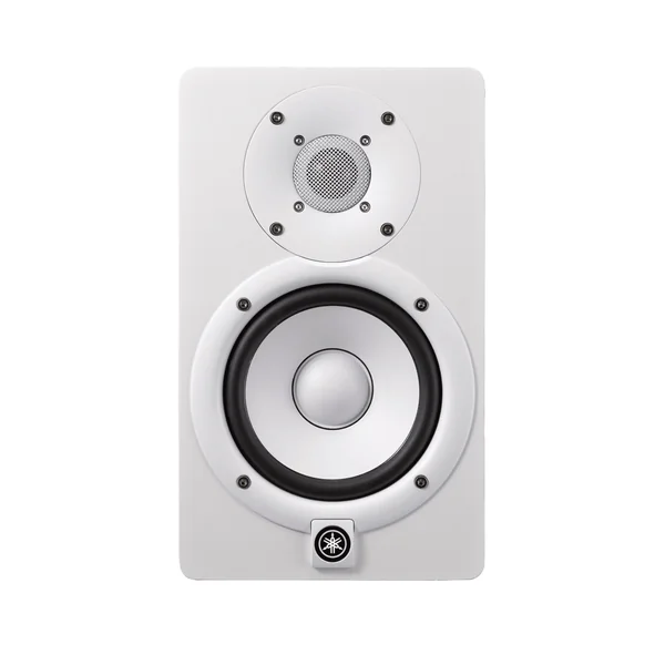 BUNDLE 2 x HS5W + 2 CABLES Jack - XLR + 2 PIEDS