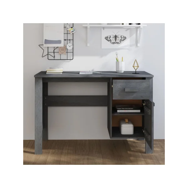 Bureau Gris Foncé Pin Moderne 1 Tiroir 1 Placard Bureau de Travail Informatique