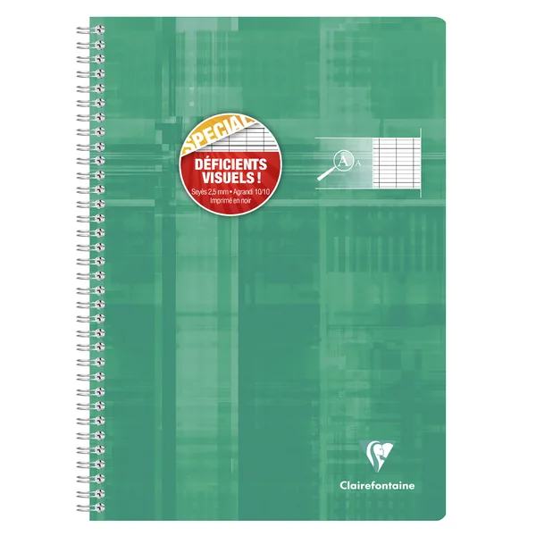 Cahier reliure intégrale déficients visuels A4-100 pages-90 gr-grands carreaux