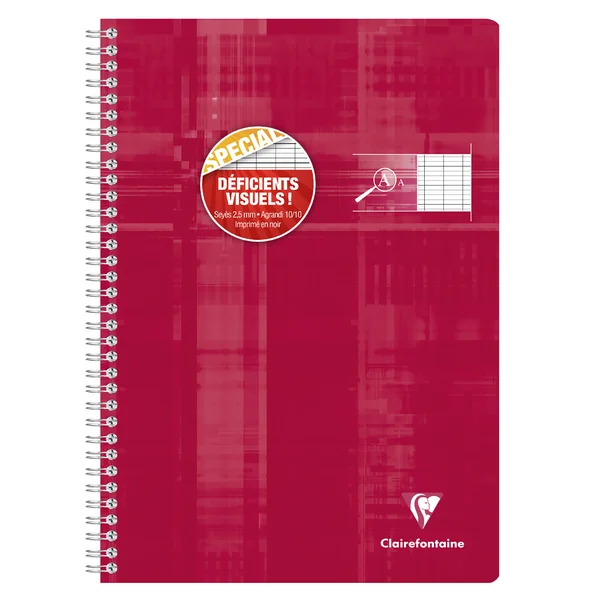Cahier reliure intégrale déficients visuels A4-100 pages-90 gr-grands carreaux