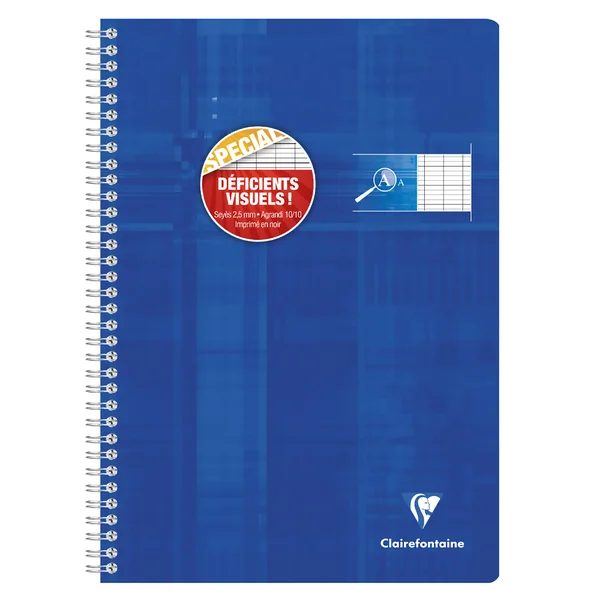 Cahier reliure intégrale déficients visuels A4-100 pages-90 gr-grands carreaux