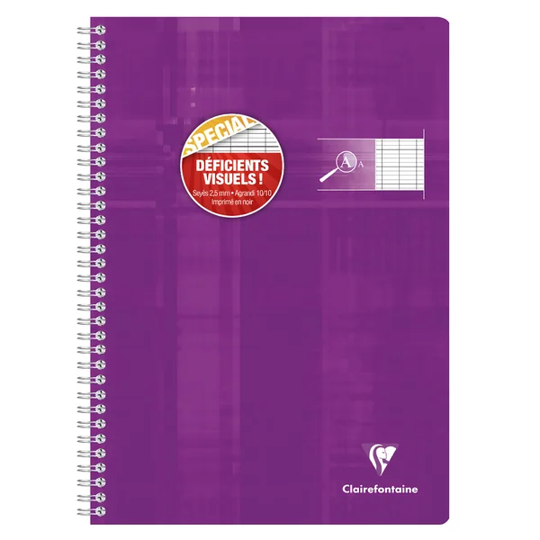 Cahier reliure intégrale déficients visuels A4-100 pages-90 gr-grands carreaux