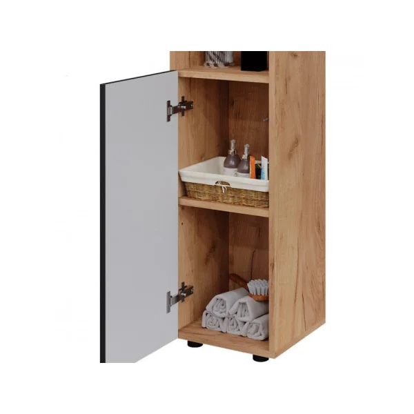 Colonne de Salle de Bain 1 Porte Chêne et Anthracite Armoire Basse Salle de Bain