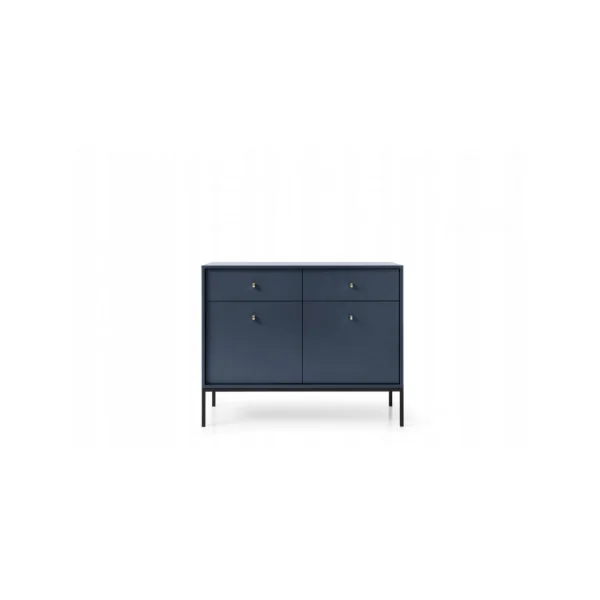 Commode Bleu 2 Tiroirs 2 Placard Commode de salon Moderne Commode Chambre Tendance