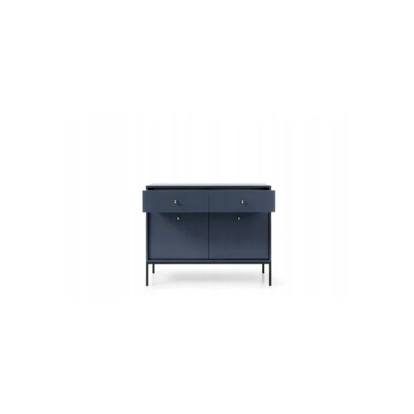 Commode Bleu 2 Tiroirs 2 Placard Commode de salon Moderne Commode Chambre Tendance