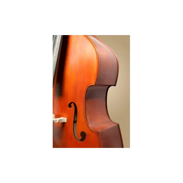Contrebasse Gliga Gems 1 4/4