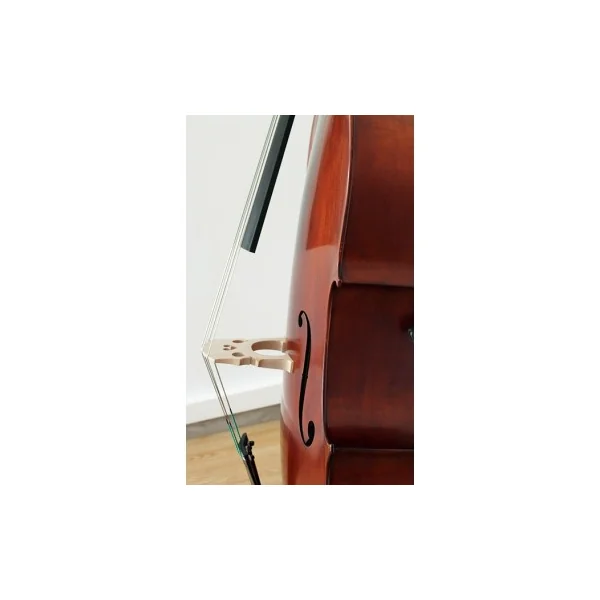 Contrebasse Gliga Gems 2 Massive 1/2