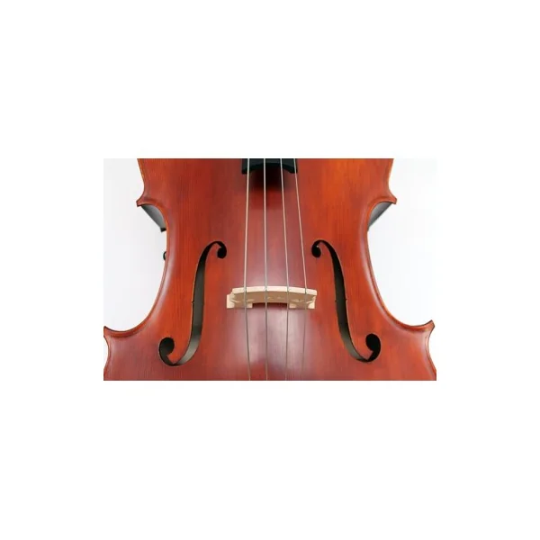 Contrebasse Gliga Gems 2 Massive 3/4
