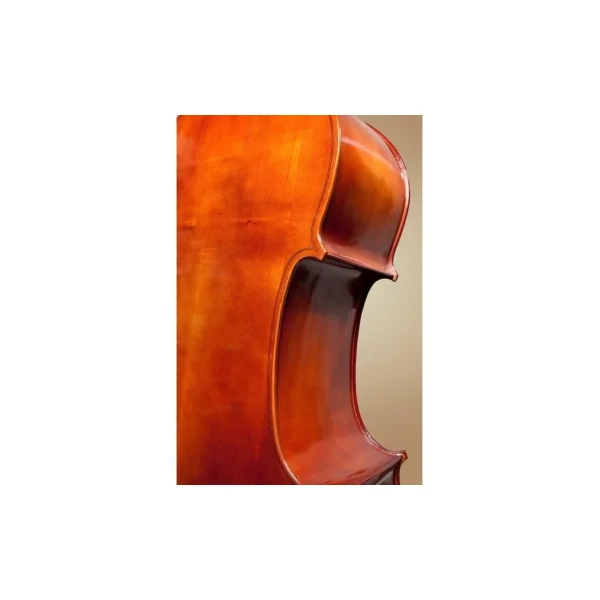 Contrebasse Gliga Genial Massive 4/4