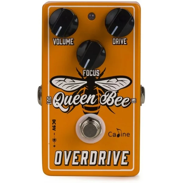 CP503 Queen Bee Overdrive