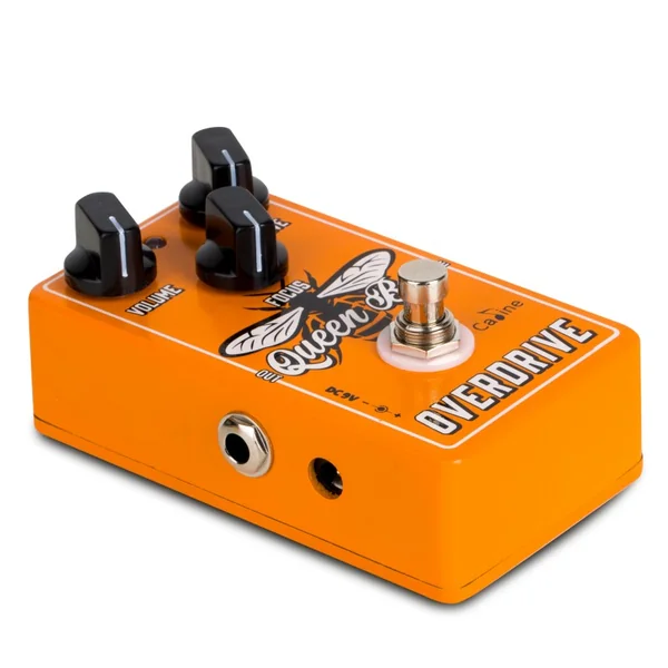 CP503 Queen Bee Overdrive