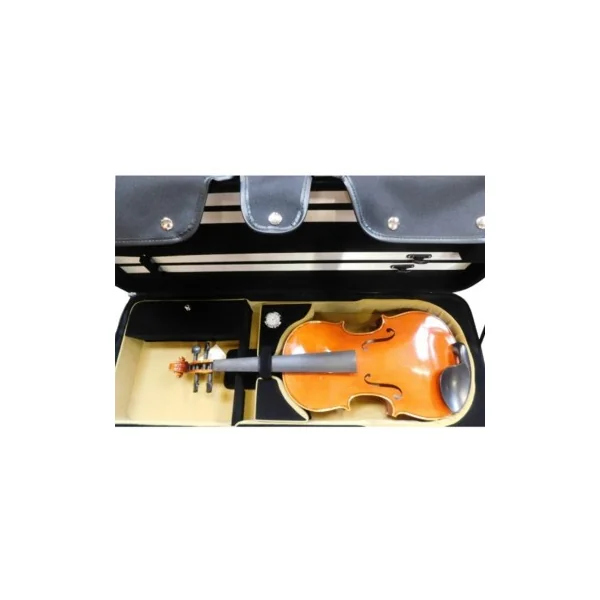 Etui Alto modèle conservatoire ajustable