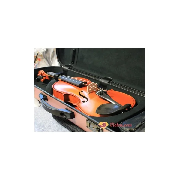 Etui violon 4/4 rectangulaire composite or rose
