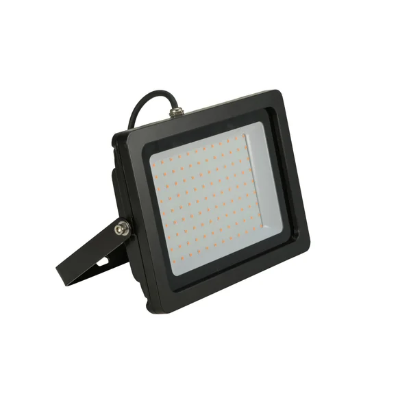 EUROLITE LED IP FL-100 SMD purple