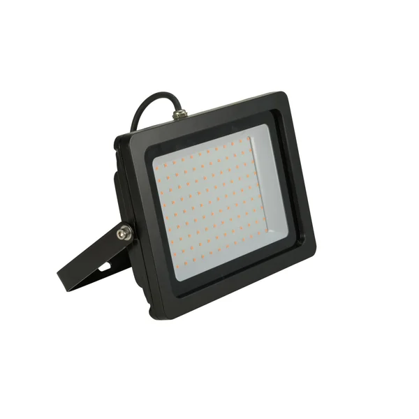 EUROLITE LED IP FL-100 SMD red
