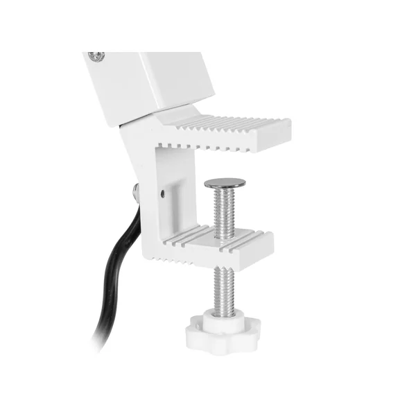EUROLITE LED KKL-70 Floodlight 4200K white