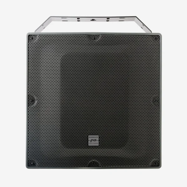 EXT415 Enceinte IP coaxiale 15" 300 Watts 100 V