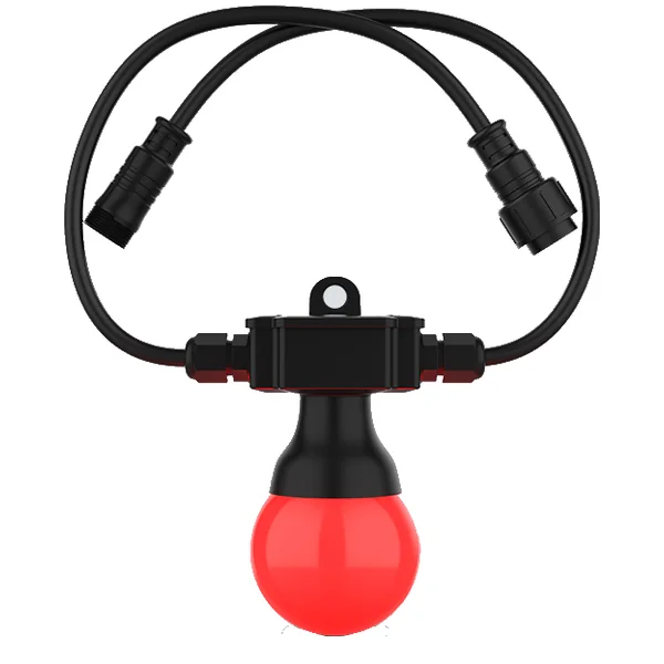 Festoon 2 RGB