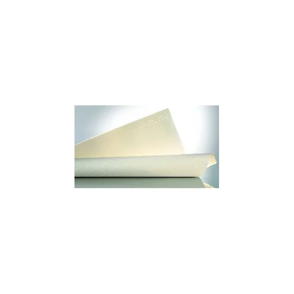 Feuille BFK Rives 56x76 250g/m², 4 bords frangés, grain fin léger blanc
