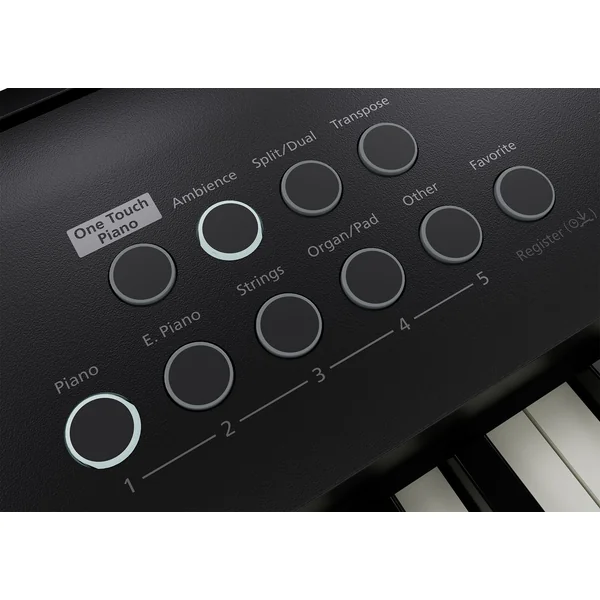 FP-E50