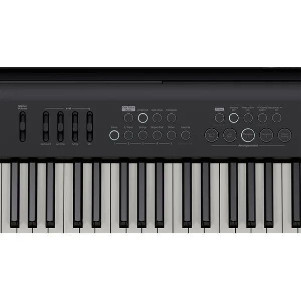 FP-E50