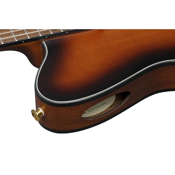 FRH10N BSF - brown sunburst flat