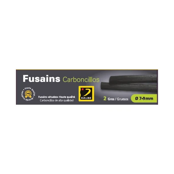 Fusains gros boite de 2