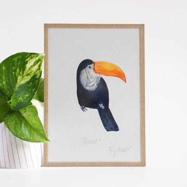 Gravure Didicit – Collection Toucans – Fany Perret