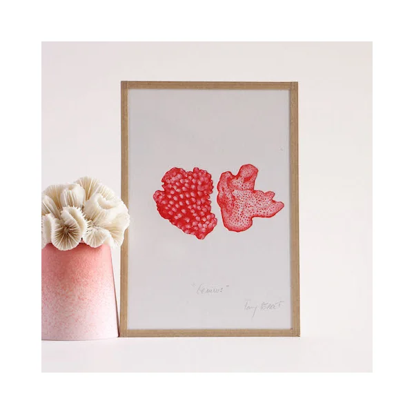 Gravure Geminus – Collection Coraux – Fany Perret