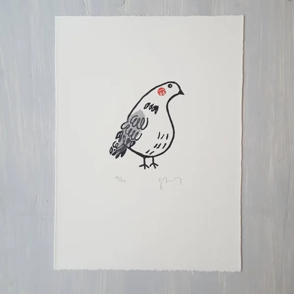 Gravure Pigeon timide – Sandrine Péron
