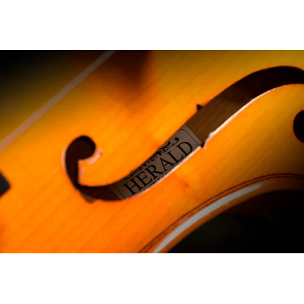 Herald Violon massif
